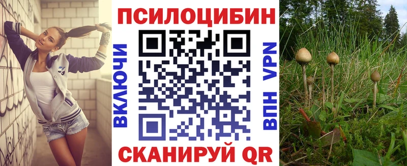 Псилоцибиновые грибы прущие грибы Кунгур