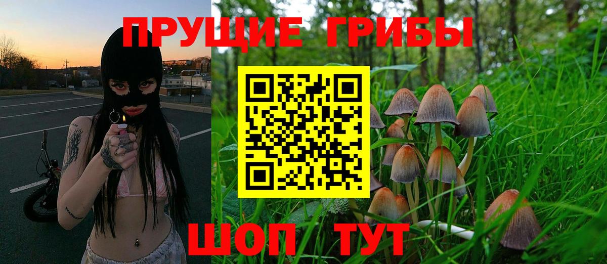 Галлюциногенные грибы Psilocybe  Вход с VPN  Кунгур 